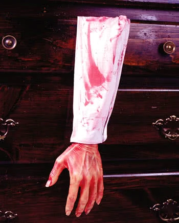 Abgetrennter Blutiger Arm 4 Abgetrennter Blutiger Arm – Bild 2