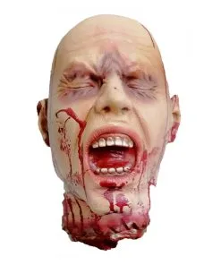 Abgetrennter Latex Schädel