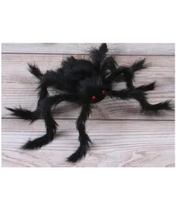 Behaarte Gruselspinne Schwarz