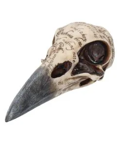 Edgar´s Raben Totenschädel -Halloween Geschaft edgars raben skelettschaedel edgars raben totenschaedel edgars raven skull 39198 02