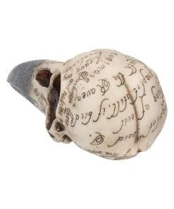 Edgar´s Raben Totenschädel -Halloween Geschaft edgars raben skelettschaedel edgars raben totenschaedel edgars raven skull 39198 04