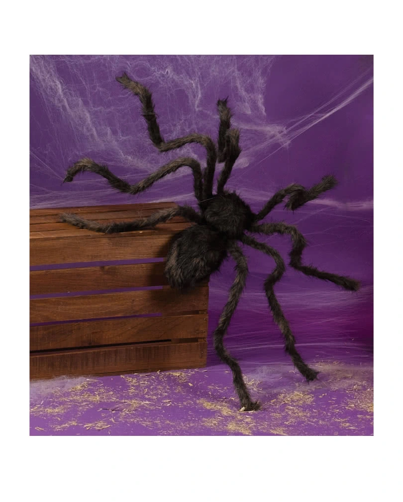 Schwarze Riesenspinne