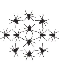 12 Halloween Spinnen