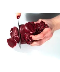 Realistisches Menschenherz Aus Gelatine -Halloween Geschaft schneidbares menschenherz aus gelatine sliceable human heart made of gelatin halloween deko 52573 03