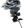 Schwarz/Graue Rose Mit Auge -Halloween Geschaft schwarz rote rose mit augapfel schwarz rote rose mit auge black red rose with eyeball 39095 04