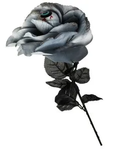Schwarz/Graue Rose Mit Auge
