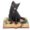 Schwarze Hexenkatze Mit Pentagramm -Halloween Geschaft schwarze katze mit hexenbuch schwarze hexenkatze mit pentagramm witch cat eclipse 39250 01