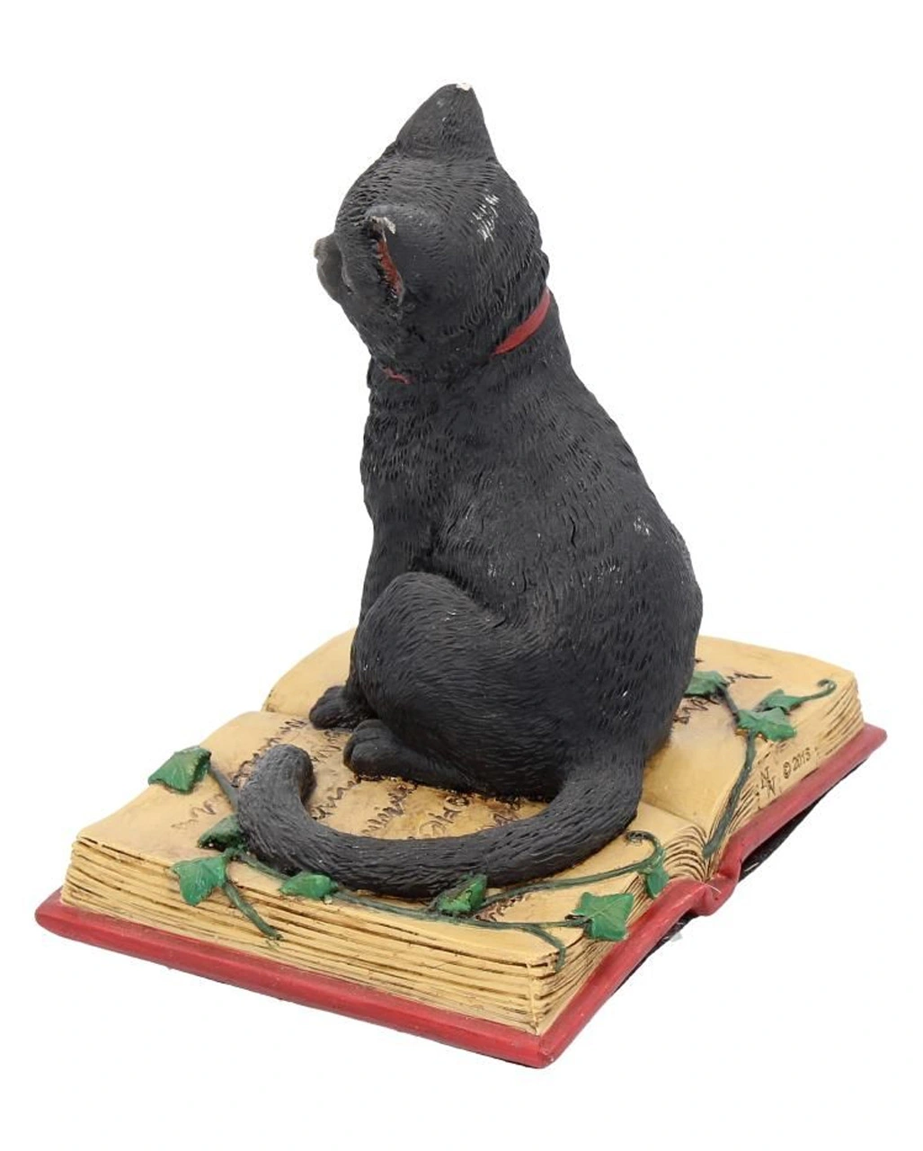 Schwarze Hexenkatze Mit Pentagramm 5 Schwarze Hexenkatze Mit Pentagramm – Bild 3