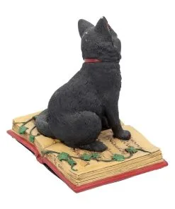 Schwarze Hexenkatze Mit Pentagramm 10 Schwarze Hexenkatze Mit Pentagramm -Halloween Geschaft schwarze katze mit hexenbuch schwarze hexenkatze mit pentagramm witch cat eclipse 39250 04