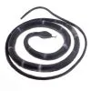 Schwarze Schlange Aus Gummi 80cm -Halloween Geschaft schwarze schlange aus latex schwarze gummischlange black rubber snake 51763 01