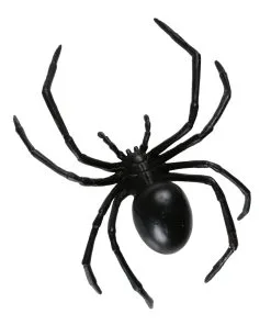 Große Schwarze Witwe