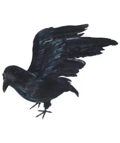 Lebensgroßer Rabe Mit Flügeln