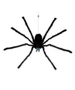 Auf- & Abseilende Riesenspinne