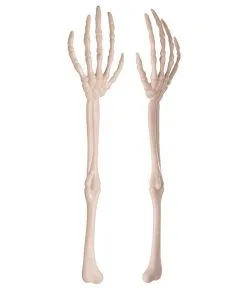 2 Knochenarme Als Deko