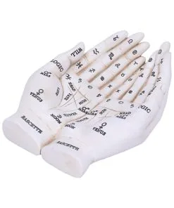 Weiße Chiromantie-Hände Teelichthalter -Halloween Geschaft weisse handlese haende kerzenhalter weisse chiromantie haende teelichthalter 51058 05